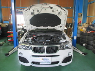 BMW X3 brike 001.JPG