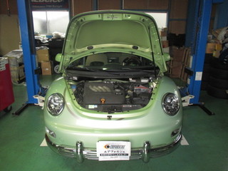 sumart  beetle 005.JPG